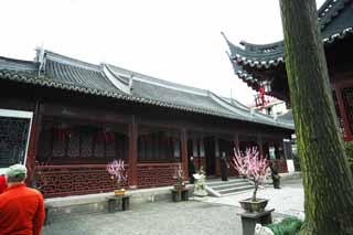 foto,tela,gratis,paisaje,fotografa,idea,Templo de primavera de punto de jardn de Yuyuan, Jardn de casa de santuario chino, , Estilo de comida chino, Soy pintado de rojo
