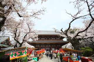 photo,material,free,landscape,picture,stock photo,Creative Commons,Ikegami front gate temple Deva gate, Takashi Nichiren, Chaitya, Mikado, Case mother appearance of a house