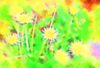 illustration,material,free,landscape,picture,painting,color pencil,crayon,drawing,A dandelion, dandelion, , Dan Delaware ion, coltsfoot snakeroot dandelion
