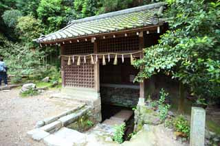 Foto, materiell, befreit, Landschaft, Bild, hat Foto auf Lager,Es ist schintoistisches Schrein-Kirihara-Wasser in Uji, Berhmtes klares Wasser, Bewssern Sie Schubladenboden, Schintoistische Strohgirlande, Schintoismus