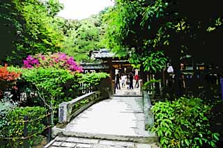 illust,tela,gratis,paisaje,fotografa,idea,pintura,Lpiz de color,dibujo,Es un santuario puente de piedra sintosta en Uji, Un enfoque para un santuario, Una azalea, Puente de piedra, Shinto