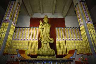 photo,material,free,landscape,picture,stock photo,Creative Commons,Static Yasushi temple Goddess of Mercy image, Buddhism, Prayer, Faith, Buddhist image
