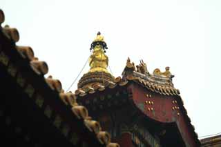 fotografia, materiale, libero il panorama, dipinga, fotografia di scorta,Una torre di Tempio di Yonghe, Tibet, catena, Soldi, Chaitya