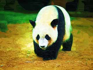 illust, materiale, libero panorama, ritratto dipinto, matita di colore disegna a pastello, disegnando,Panda gigante, panda, , Io sono bello, passeggiata