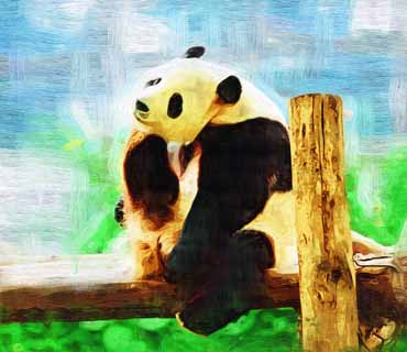 illust,tela,gratis,paisaje,fotografa,idea,pintura,Lpiz de color,dibujo,Oso panda gigante, Oso panda, , Soy bonito, Ademn