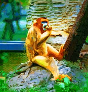 illustration,material,free,landscape,picture,painting,color pencil,crayon,drawing,Golden snub-nosed monkey, monkey, Sun Wu-K'ung, , 