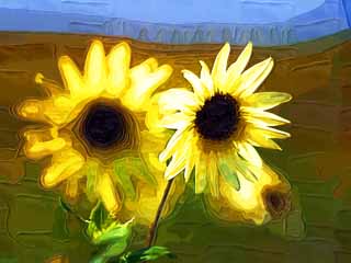 illustration,material,free,landscape,picture,painting,color pencil,crayon,drawing,A French sunflower, sunflower, , , 