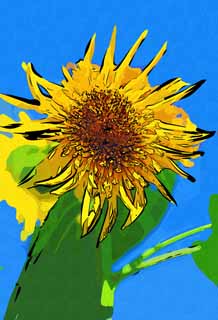 illust, materiell, befreit, Landschaft, Bild, Gemlde, Farbbleistift, Wachsmalstift, Zeichnung,,Eine Sonnenblume, Sonnenblume, , , 
