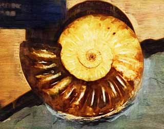 illust, materiale, libero panorama, ritratto dipinto, matita di colore disegna a pastello, disegnando,Un ammonite, fossile, Un ammonite, pietra di zucca, Mollusco di Amon