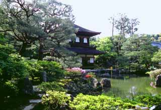 fotografia, materiale, libero il panorama, dipinga, fotografia di scorta,Ginkakuji (padiglione di argento), Ginkakuji, stagno, giardino, albero