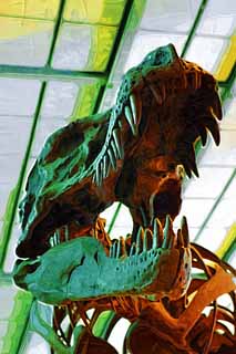 illust, materiale, libero panorama, ritratto dipinto, matita di colore disegna a pastello, disegnando,T-rex, dinosauro, Tirannosauro, fossile, cornice
