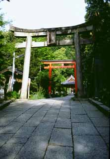 Foto, materieel, vrij, landschap, schilderstuk, bevoorraden foto,Straat van torii poorten, Torii poort, Heiligdom, , 