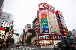 fotografia, materiale, libero il panorama, dipinga, fotografia di scorta,Shinjuku, cultura popolare, cartello, Facendo compere, Luminarie