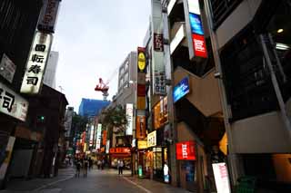 Foto, materieel, vrij, landschap, schilderstuk, bevoorraden foto,Volgens Shinjuku, Restaurant, Signboard, Stenige bestrating, Illumineringen
