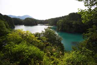fotografia, material, livra, ajardine, imagine, proveja fotografia,Lago Bishamon, floresta, lagoa, Cerleo azul, Mt. Bandai-san