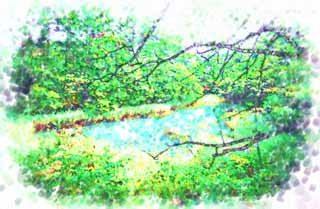 illustration,material,free,landscape,picture,painting,color pencil,crayon,drawing,Akanuma, forest, pond, Azure blue, Mt. Bandai-san