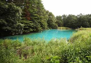 Foto, materiell, befreit, Landschaft, Bild, hat Foto auf Lager,Aonuma, Wald, Teich, Azurblau blau, Mt. Bandai-san