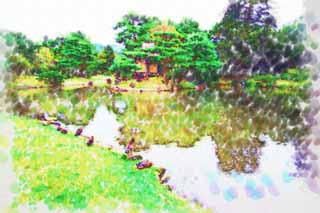illust, materiale, libero panorama, ritratto dipinto, matita di colore disegna a pastello, disegnando,Lo stagno del Giardino di Oyaku-en carattere sensibile, pianta orto, Facendo del giardinaggio, I giapponesi fanno del giardinaggio, pino