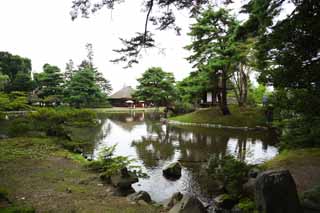 photo,material,free,landscape,picture,stock photo,Creative Commons,The pond of the Oyaku-en Garden feeling character, garden plant, Gardening, Japanese garden, pine