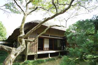 Foto, materiell, befreit, Landschaft, Bild, hat Foto auf Lager,Kairaku-en Garden Yoshifumi-Laube, Japanisches Gebude, Dachstroh, shoji, guter Mastab