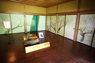 foto,tela,gratis,paisaje,fotografa,idea,Enramada de Yoshifumi de jardn de Kairaku - en, Fotografa de fusuma, El pino de la bata de un ngel, Fotografa, 