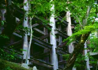 fotografia, material, livra, ajardine, imagine, proveja fotografia,Pilares debaixo da fase, Templo de Kiyomizu, coluna, , 