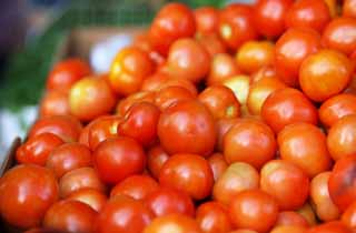 fotografia, material, livra, ajardine, imagine, proveja fotografia,Um tomate, loja vegetal, tomate, Vermelho, Legumes