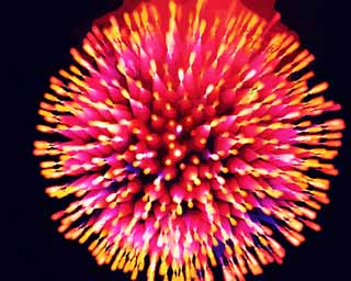 illustration,material,free,landscape,picture,painting,color pencil,crayon,drawing,Crimson large fireworks, skyrocket, fireworks display, natural scene or object which adds poetic charm to the season of the summer, great explosion