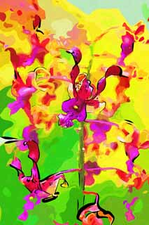 illust, materiell, befreit, Landschaft, Bild, Gemlde, Farbbleistift, Wachsmalstift, Zeichnung,,Eine purpurrote Orchidee, Eine Orchidee, , , Ich bin luxuris