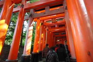 ,,, ,,,1,toriis  Taisha Fushimi-Inari 000.,      , torii., Inari., .