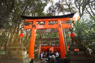 fotografia, material, livra, ajardine, imagine, proveja fotografia,1,000 Fushimi-Inari Taisha toriis de Santurio, A visita de Ano novo para um santurio de Xintosmo, torii, Inari, raposa