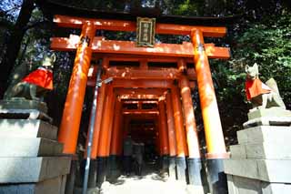 ,,, ,,,torii  Taisha Fushimi-Inari.,      , torii., Inari., .