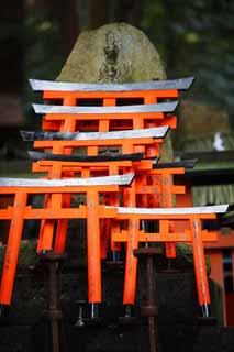 Foto, materieel, vrij, landschap, schilderstuk, bevoorraden foto,Fushimi-inari Taisha Shrine torii, Nieuw bezoek van Jaar naar een Shinto heiligdom, Torii, Inari, Vos