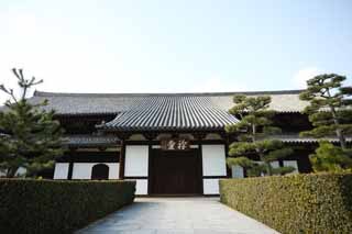 Foto, materieel, vrij, landschap, schilderstuk, bevoorraden foto,Tofuku-ji Tempel tempel voor Zen bestudering, Chaitya, Gevel, Uitbouw, Zen