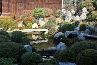 Foto, materieel, vrij, landschap, schilderstuk, bevoorraden foto,Tofuku-ji heiligdom tuin van Tempel oprichter, Chaitya, Japanse tuin, Rots, Waterplas