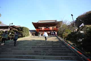 foto,tela,gratis,paisaje,fotografa,idea,Hongu del santuario de Hachiman - gu, , Un santuario superior, Santuario principal, 