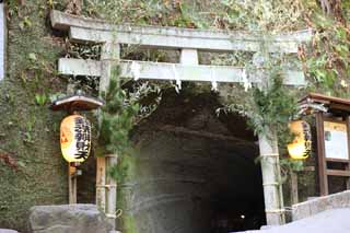 photo, la matire, libre, amnage, dcrivez, photo de la rserve,Torii de Temple Zeniarai-benten, torii, tunnel, Femme de zen-prtre principal, Lucratif