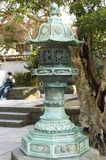Foto, materieel, vrij, landschap, schilderstuk, bevoorraden foto,Kamakura groot standbeeld van De boeddha tuin lantaarn, , , Soong trant, Boeddhisme beeldhouwkunst