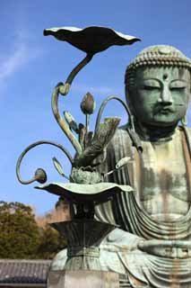 Foto, materiell, befreit, Landschaft, Bild, hat Foto auf Lager,Kamakura groe Statue von Buddha Lotosblume, , Lotosblume, Buddhismus, Buddhismus-Skulptur