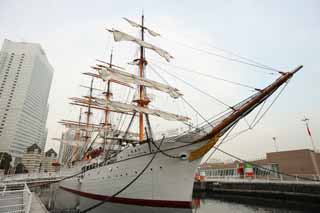 fotografia, materiale, libero il panorama, dipinga, fotografia di scorta,Nippon-Maru, barca che naviga, nave, albero, Vela