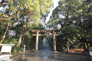 fotografia, material, livra, ajardine, imagine, proveja fotografia,Meiji Santurio torii, O imperador, Santurio de Xintosmo, torii, Uma aproximao para um santurio