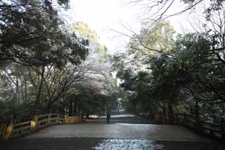 Foto, materiell, befreit, Landschaft, Bild, hat Foto auf Lager,Meiji Shrine nhert sich zu einem Schrein, Der Kaiser, Schintoistischer Schrein, Schnee, Ein Ansatz zu einem Schrein