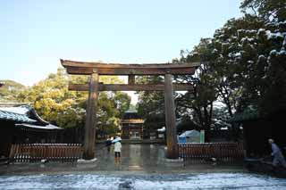 fotografia, material, livra, ajardine, imagine, proveja fotografia,Meiji Santurio torii, O imperador, Santurio de Xintosmo, torii, Neve
