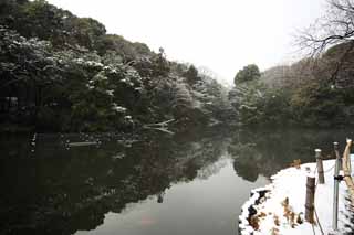 Foto, materiell, befreit, Landschaft, Bild, hat Foto auf Lager,Meiji Shrine Imperial Garten, Schintoistischer Schrein, Teich, Der Kaiser, Natur