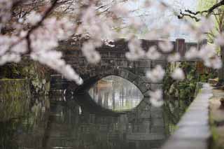 Foto, materieel, vrij, landschap, schilderstuk, bevoorraden foto,Kurashiki Imahashi, Traditionele cultuur, Stenig bruggen, Kers boom, De geschiedenis