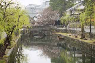Foto, materieel, vrij, landschap, schilderstuk, bevoorraden foto,Kurashiki Imahashi, Traditionele cultuur, Stenige brug, Wilg, De geschiedenis