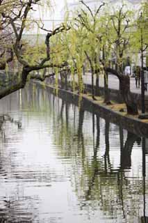 fotografia, material, livra, ajardine, imagine, proveja fotografia,Kurashiki Kurashiki rio, Cultura tradicional, A superfcie da gua, Japons cultiva, A histria
