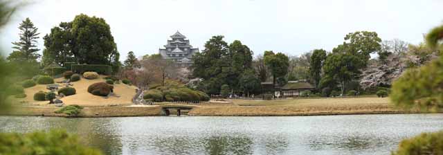 fotografia, materiale, libero il panorama, dipinga, fotografia di scorta,Lo stagno della palude di Giardino di Koraku-en, Okayama-jo il Castello, castello, albero ciliegio, I giapponesi fanno del giardinaggio