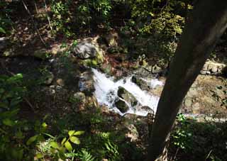 fotografia, material, livra, ajardine, imagine, proveja fotografia,Koraku-en Garden riacho, cachoeira, O murmurando, floresta, rio
