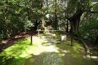 Foto, materieel, vrij, landschap, schilderstuk, bevoorraden foto,Koraku-en Garden Jizo heiligdom, Beschermer godheid van kinderen, Zes lokale godheden, Washbowl, Stenige bestrating
